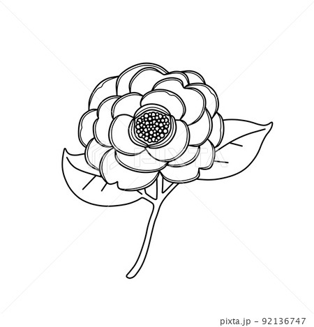 花 白黒 一輪のイラスト素材