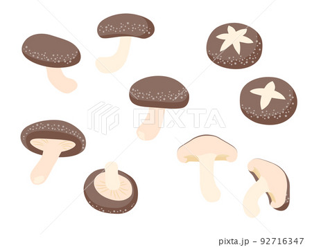 シイタケ かわいいのイラスト素材