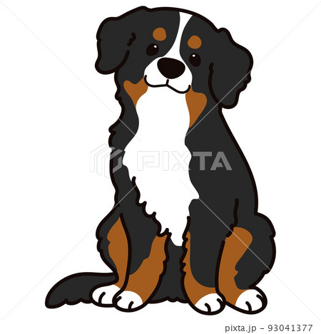 バーニーズ マウンテン ドッグのイラスト素材