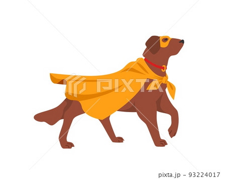 スーパーマン 犬 イラスト 可愛いの写真素材