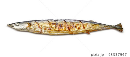 秋刀魚のイラスト素材 - PIXTA