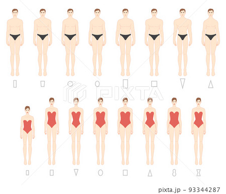 Human body shapes types. Male figures different proportions.