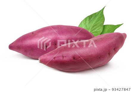 さつまいものイラスト素材集 ピクスタ さつまいものイラスト素材集 ピクスタ