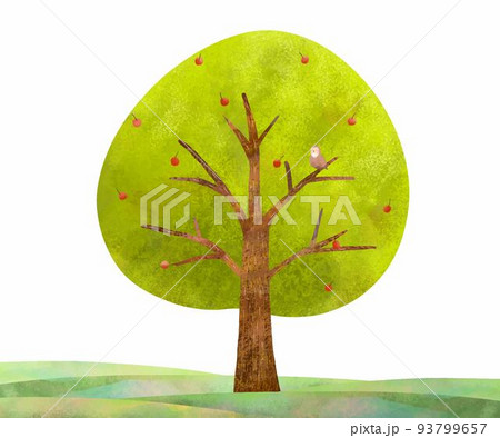 木 大樹 鳥 葉のイラスト素材