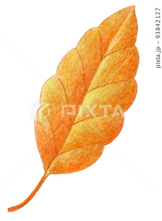 落ち葉拾いのイラスト素材