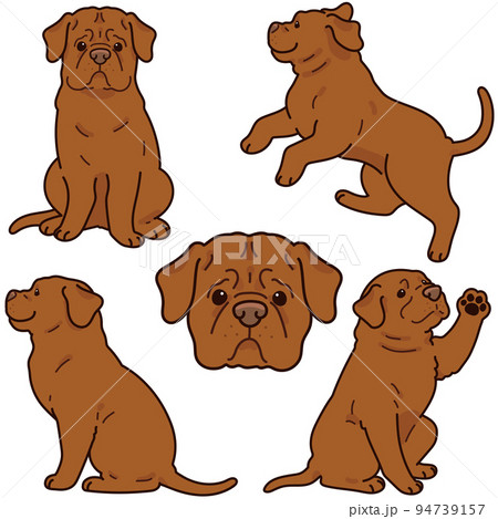 イラスト 動物 犬 走るの写真素材