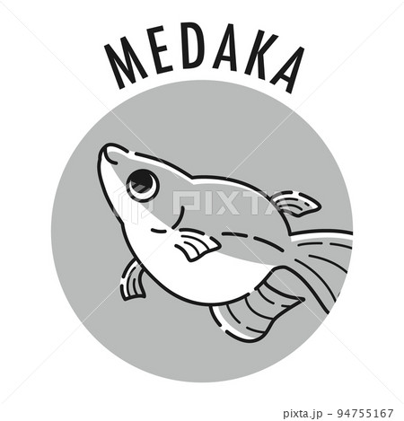 魚 白黒 サカナ イラストのイラスト素材