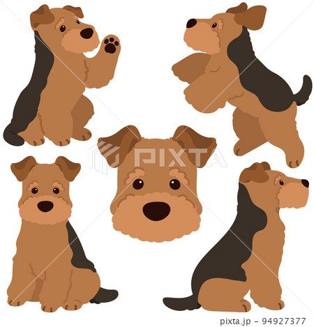 イラスト 動物 犬 走るの写真素材