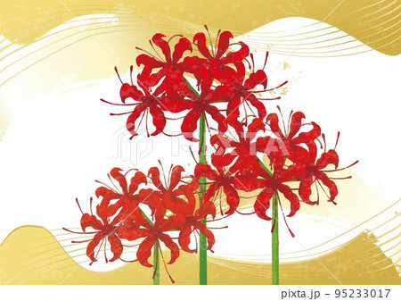 彼岸花 曼殊沙華 コスモス のじぎく 猫じゃらし 水彩画 絵画 花の絵 秋 彼岸花 曼殊沙華 コスモス のじぎく 猫じゃらし 水彩画 絵画 花