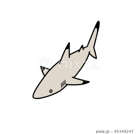 サメ 鮫 のイラスト素材集 ピクスタ