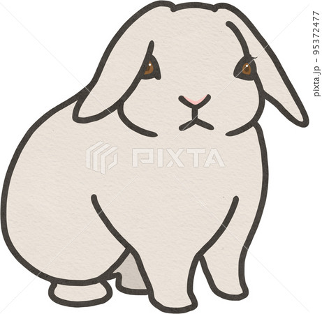 うさぎ ロップイヤー イラスト 動物 かわいいのイラスト素材
