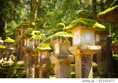 神社 苔 参道 灯篭の写真素材 - PIXTA