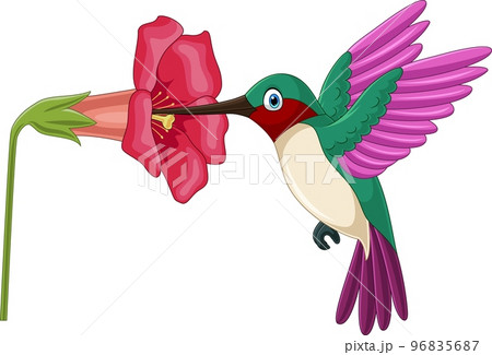 ハチドリと花のアクリル画 Hummingbird 原画　アート ハチドリと花のアクリル画 Hummingbird 原画 アート
