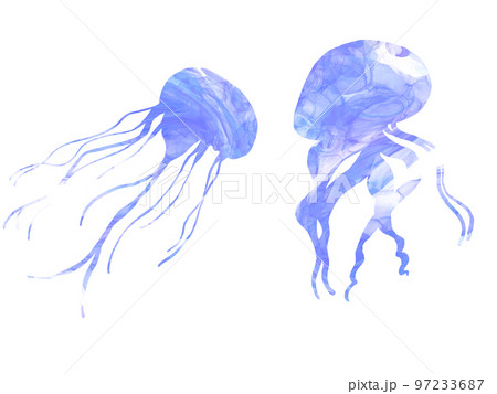ただの海月の絵