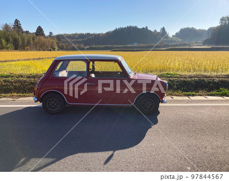 収穫を終えた黄金色の水田前に停めたミニクーパー