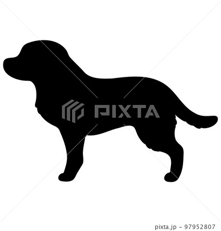 ステンレス製 ゴールデンレトリーバー シルエット 犬 ゴールデンレトリバー シルエット レトリバーのイラスト素材 - PIXTA