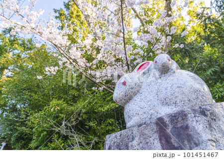 うさぎの石像の写真素材 - PIXTA