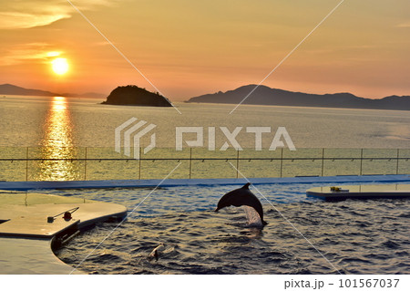 イルカ 夕日 空 日本の写真素材 - PIXTA