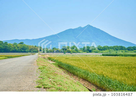 風景画【筑波山】F10号 風景画【筑波山】F10号 - メルカリ