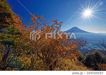 富士山 朝霧高原 秋 紅葉の写真素材 - PIXTA