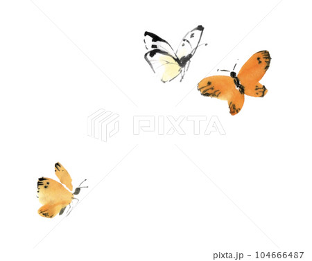 蝶 蝶々 昆虫 水墨画のイラスト素材 - PIXTA