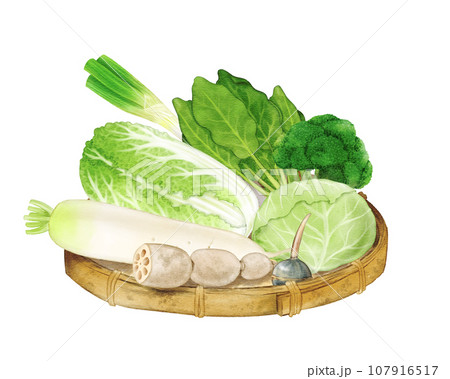 冬野菜 - 水彩画 よしのの部屋