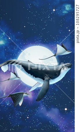 飛ぶ鯨 255612d628889ccb9a3e3cb523875e