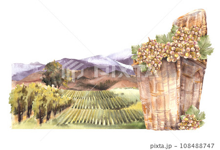 19,645+ Grape Illustrations: Royalty-Free Stock Illustrations - PIXTA