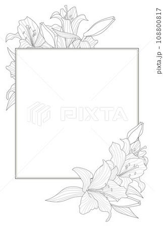 Floral Backgrounds, Digital Paper, Hand-drawn, Elegant Flower