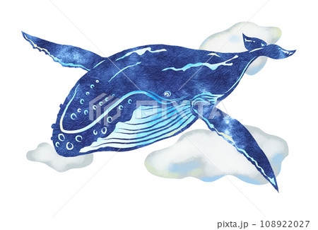飛ぶ鯨 255612d628889ccb9a3e3cb523875e