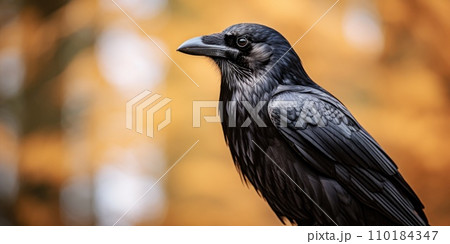 カラス　アクリル画　原画 2025厳選】カラス 油絵の人気商品｜グローバル通販Pinkoi