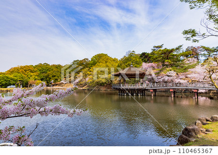奈良県 奈良公園の浮御堂】の画像素材(70546371) | 写真素材なら