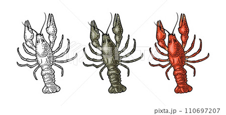 Crayfish or Yabbie Ink Art - Cool Detailed Animal Design - On Dark Red T-Shirt