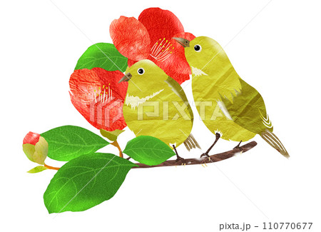 メジロ 春 野鳥 椿のイラスト素材 - PIXTA