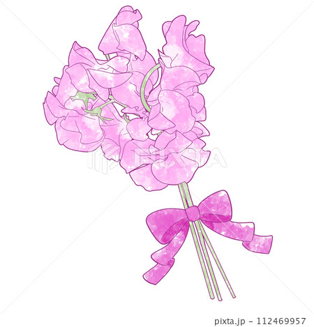 スイートピーのイラスト素材 - PIXTA