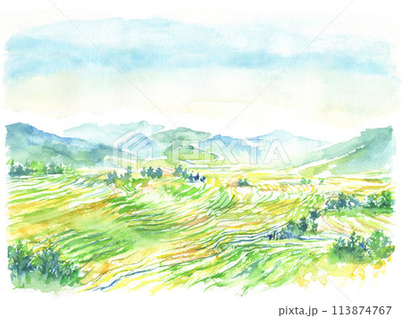 絵画　熱帯の棚田風景　油彩画 熱帯の棚田風景. 美術品・アンティーク・コレクション 熱帯の