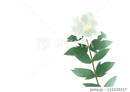 芙蓉 花 植物 秋のイラスト素材 - PIXTA