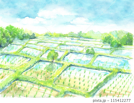 田植え 田んぼ 水彩画 水彩の写真素材 - PIXTA