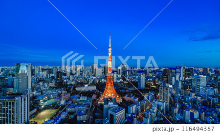 Panorama of Tokyo cityscape and Tokyo Tower - Stock Photo