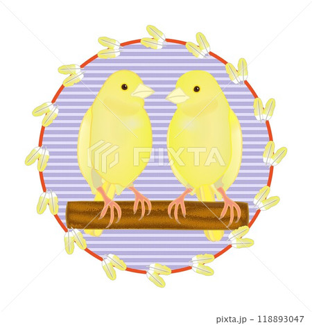 鳥 カナリア かわいい イラストのイラスト素材 - PIXTA