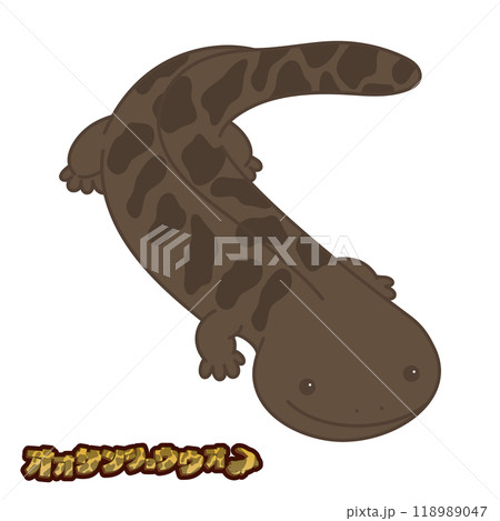 サンショウウオ オオサンショウウオ 両生類 絶滅危惧種の