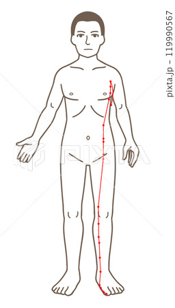 経絡図の写真素材 - PIXTA