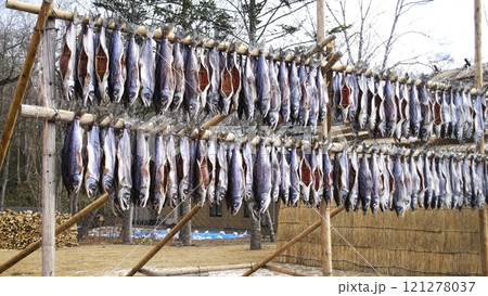 ポロト湖畔に誕生した素晴らしいウポポイ