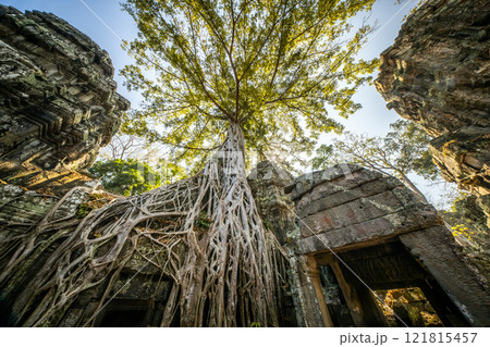 タプロームの写真素材 - PIXTA