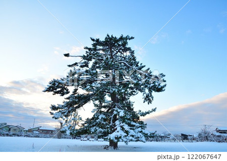 新発田城 冬 雪 冬景色の写真素材 - PIXTA