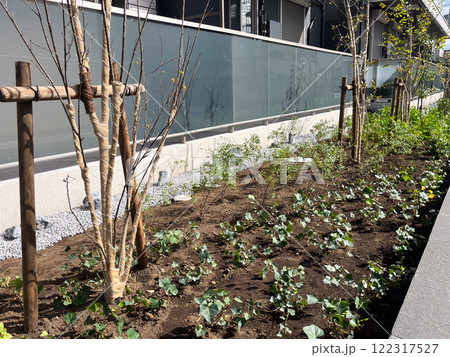 おしゃれな集合住宅の植栽工事