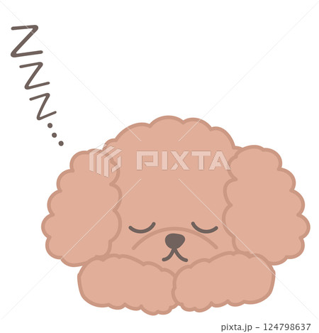 小型犬 寝る 眠る トイプードルのイラスト素材 - PIXTA