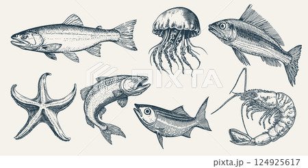 木版画 彫り物 魚 スケッチのイラスト素材 - PIXTA