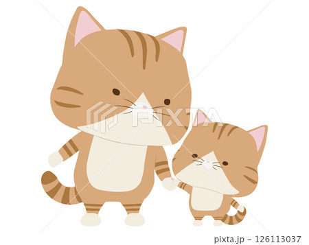 茶トラ親猫の写真素材 - PIXTA