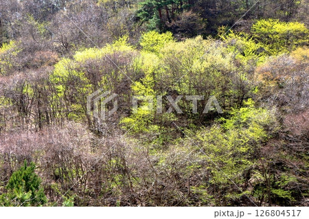 駒ヶ根市の写真素材 - PIXTA